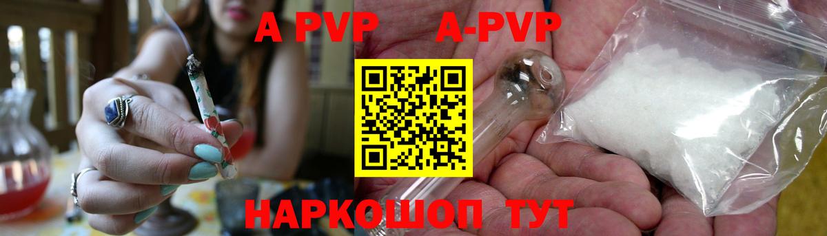 Новошахтинск  APVP СК  Вход с VPN  APVP СК 