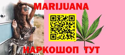 spice Владимир