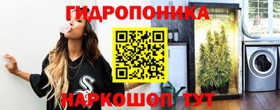 ГАЛЛЮЦИНОГЕННЫЕ ГРИБЫ Боровичи