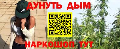 spice Владимир