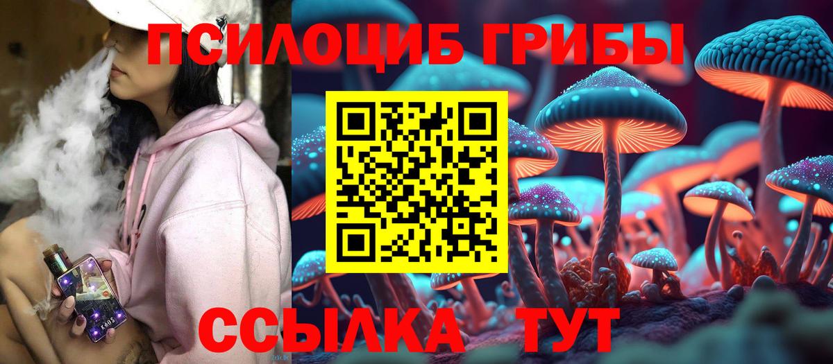 Галлюциногенные грибы MAGIC MUSHROOMS Новошахтинск
