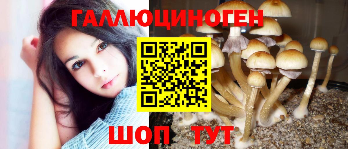 Новошахтинск  Галлюциногенные грибы Magic Shrooms  Вход с VPN  Галлюциногенные грибы Cubensis 